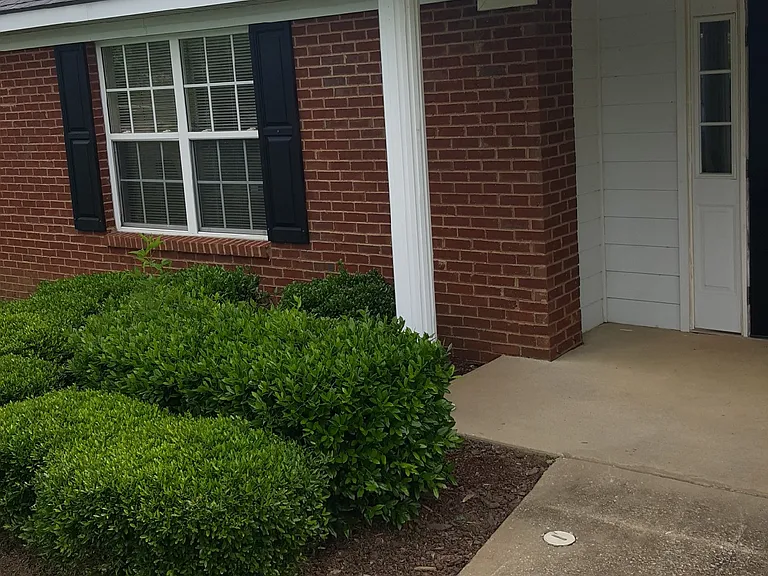 Wimberly Apartments — Photo 10
