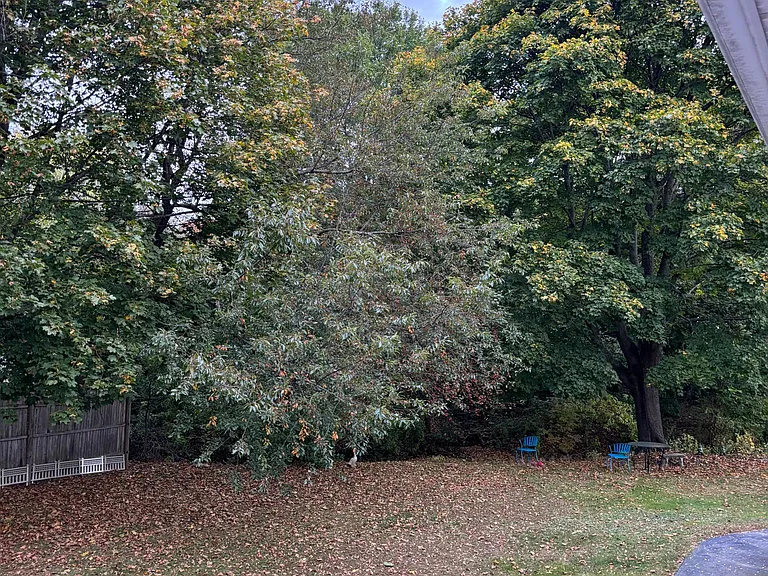 14 Zito Dr — Photo 13