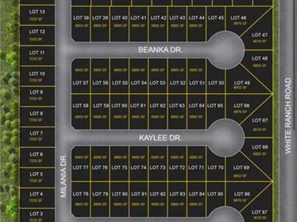 97 Ava Dr, La Feria, TX 78559