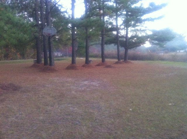 2nd image of 2850 Pilson Rd