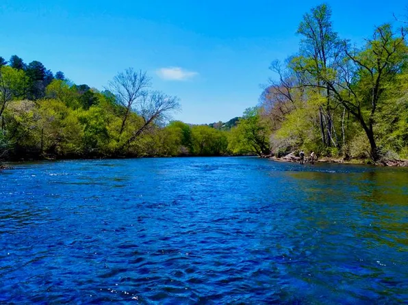 0 Toccoa River Frst, Mineral Bluff, GA 30559