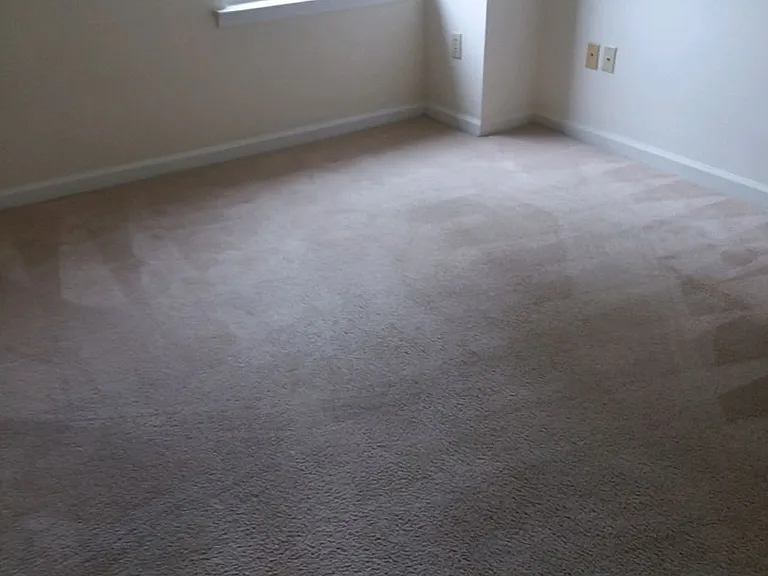 109 Observatory Ave — Photo 18