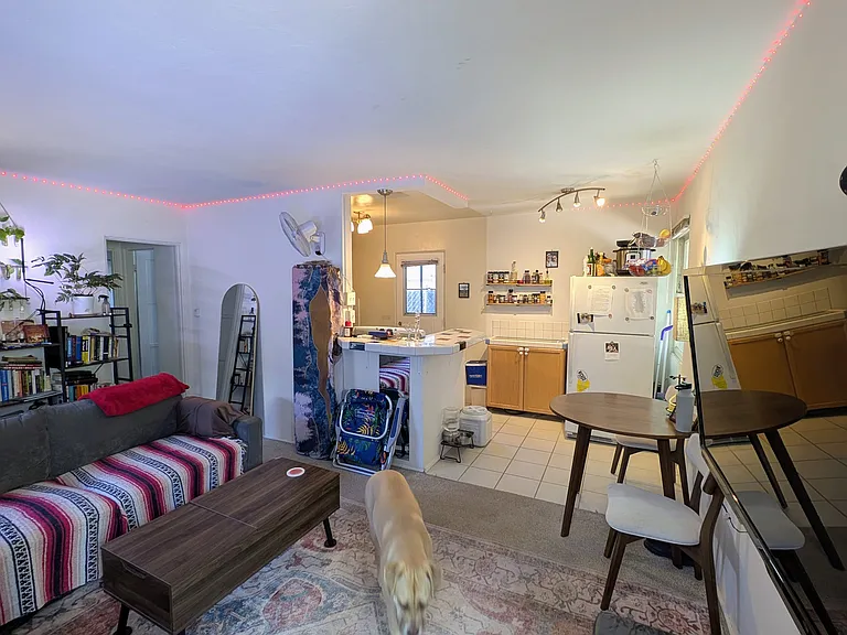 1060 Emerald St — Photo 7
