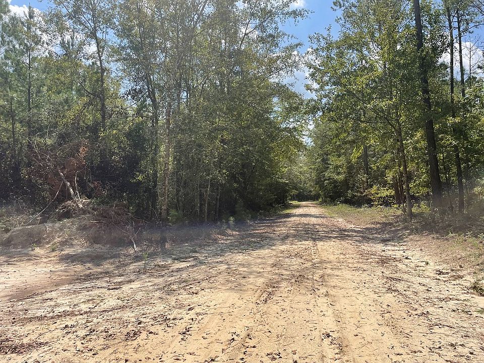 0 County Road 6603, Banks, AL 36005 | Zillow