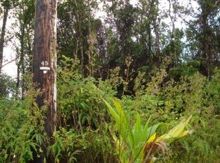 11-1967 Jungle King Ave #82, Volcano, HI 96785