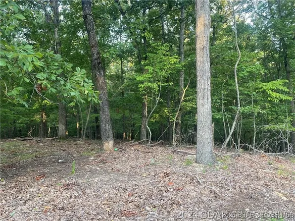 Hardwood Dr, Lake Ozark, MO 65049