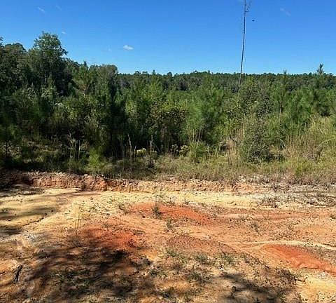 3rd image of 0 Gulfcrest Rd