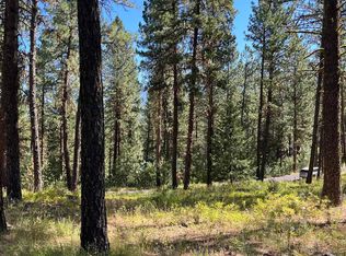 Tbd Syringa, New Meadows, ID 83654