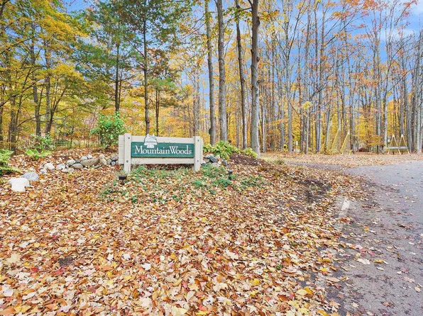 LOT 28 Mountain Woods Dr, Thompsonville, MI 49683