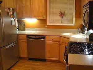 Stainless Steel Appliances