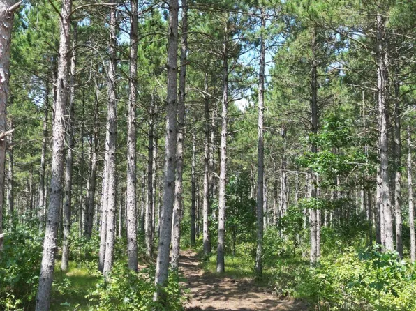 1 Hidden Trl, Nekoosa, WI 54457