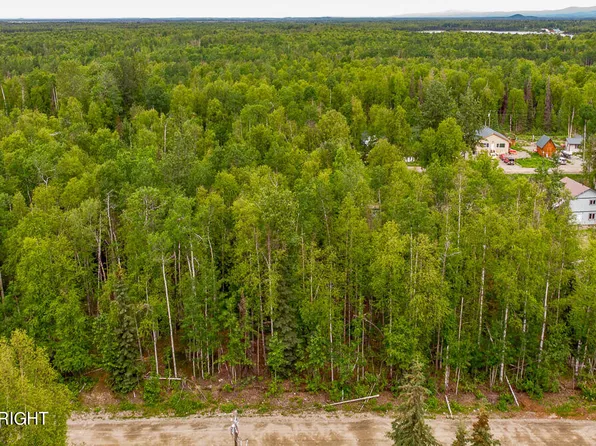 24622 N Otter Lake Loop, Willow, AK 99688