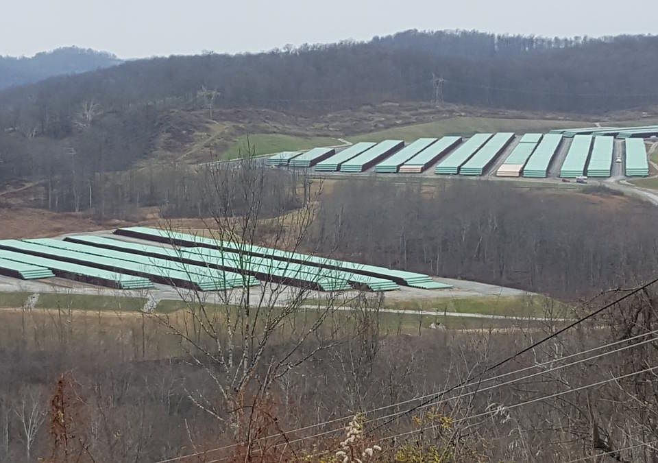 Pipeline yard
