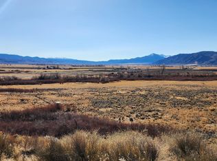 253 Artist View Rd, Wellington, NV 89444