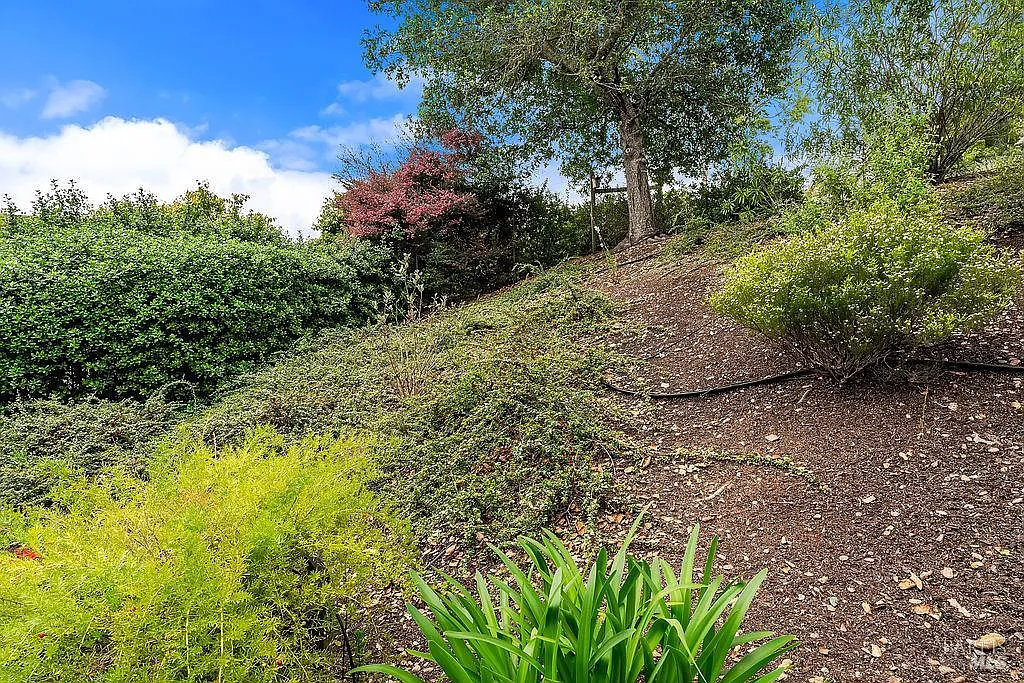6252 Meadowstone Drive - Photo 7