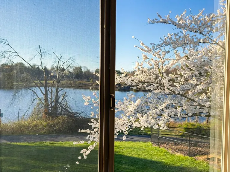 Window View
