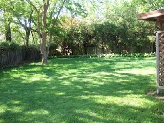 Professionally maintained back yards
