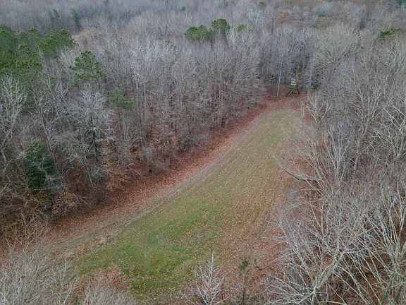 4th image of 619 Jeff White Rd