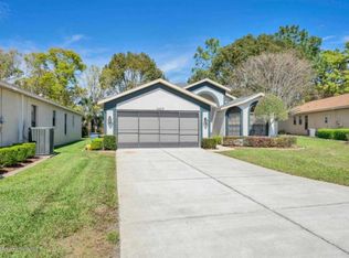 11423 Kingstree Ct, Spring Hill, FL 34609