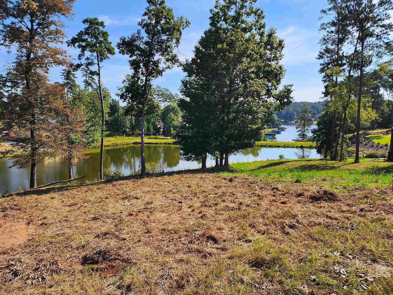 1040 Osprey Cir #111 photo 1
