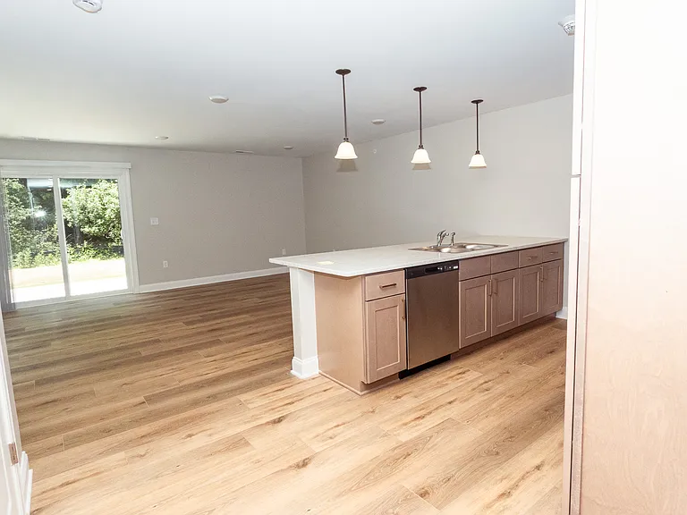 Kitchen and living room