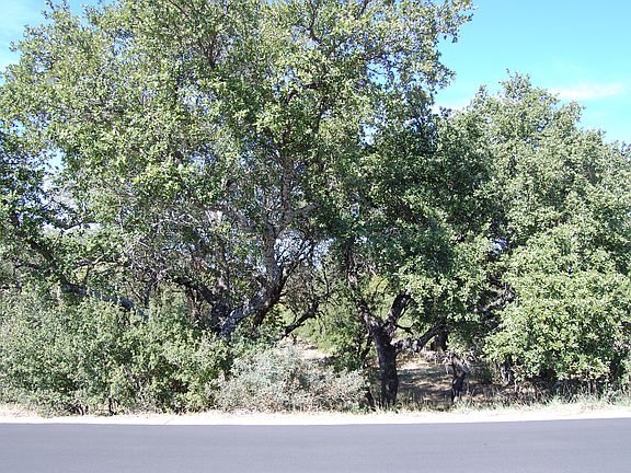 712 Apache Tears Lot