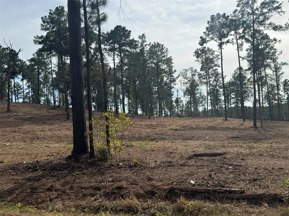 896 County Road 219, Brookeland, TX 75931