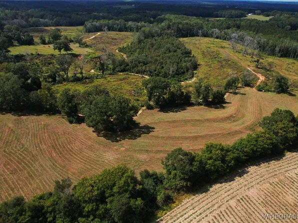 2085 County Road 3341, Troy, AL 36079