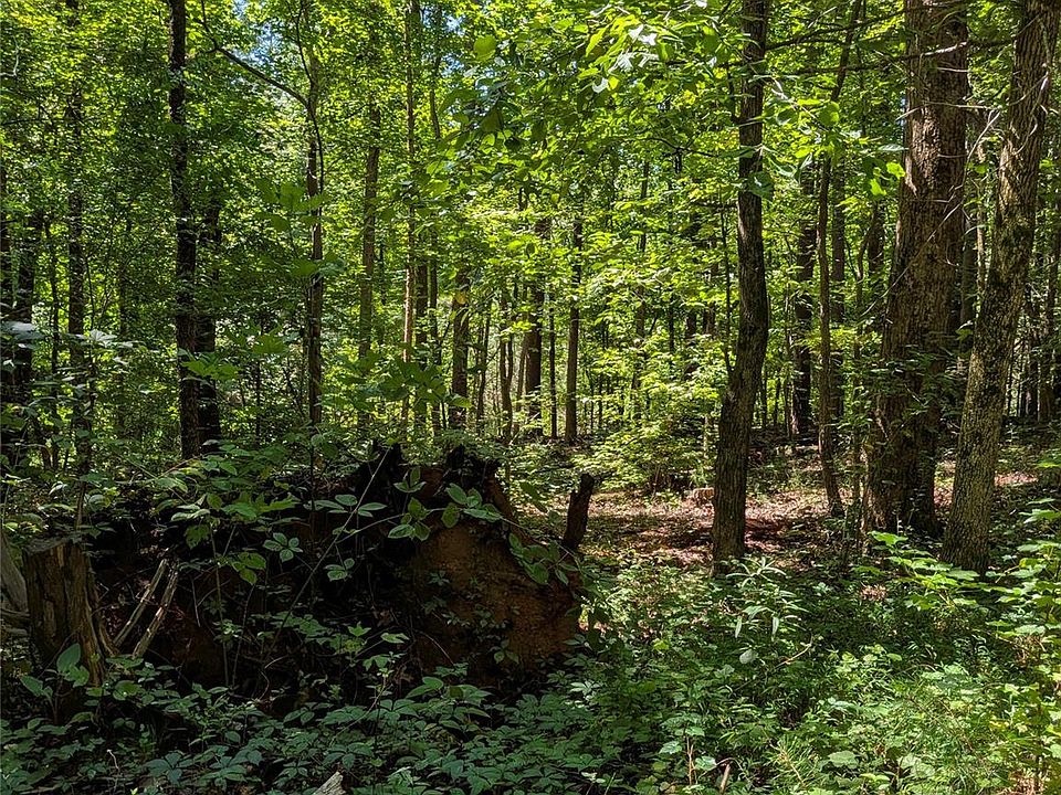 2nd image of 0 Freedom Mill Rd #9