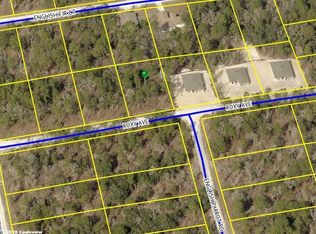 13213 Roxy Ave, Brooksville, FL 34614