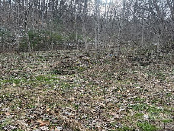 5th image of Jass Cove Rd