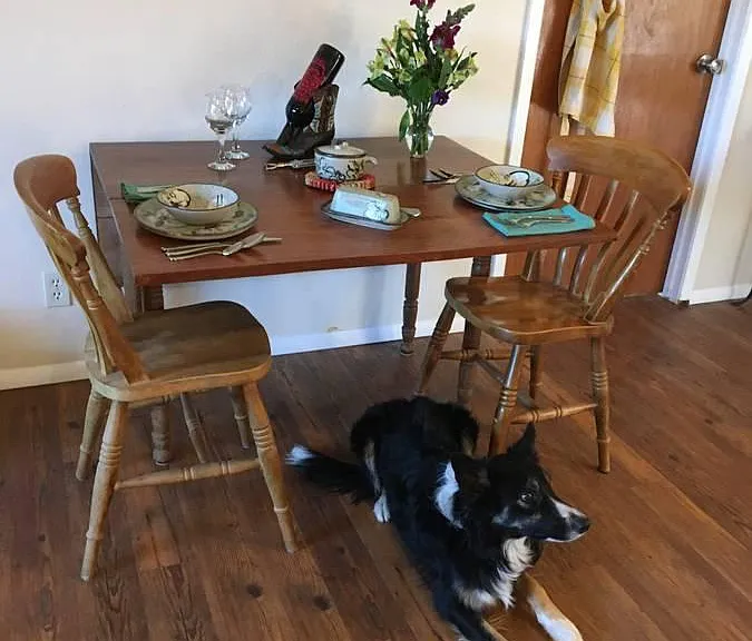 Dog NOT included