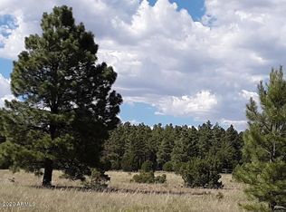 9341 Mountain Meadow Ln, Lakeside, AZ 85929