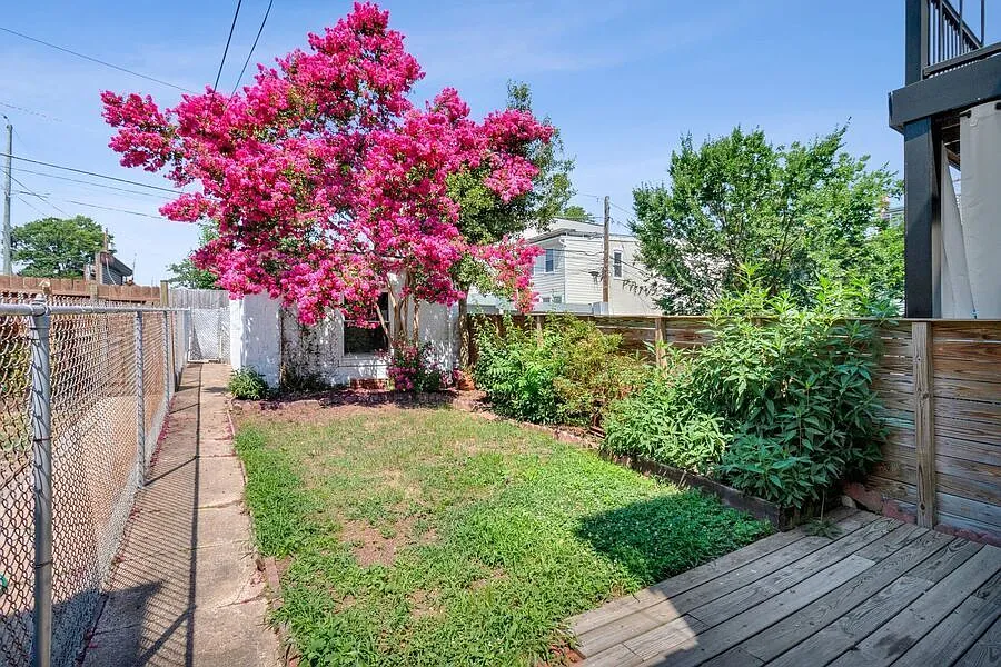 Charming 3BR Rowhome in Petworth with Finished Lower Level — Photo 3