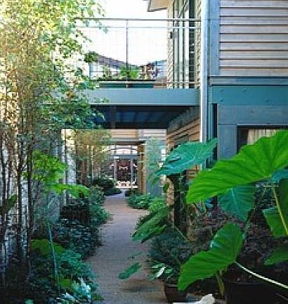Garden walkway inside bld