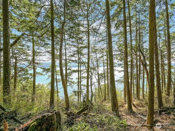 6982 Cape George Rd, Port Townsend, WA 98368