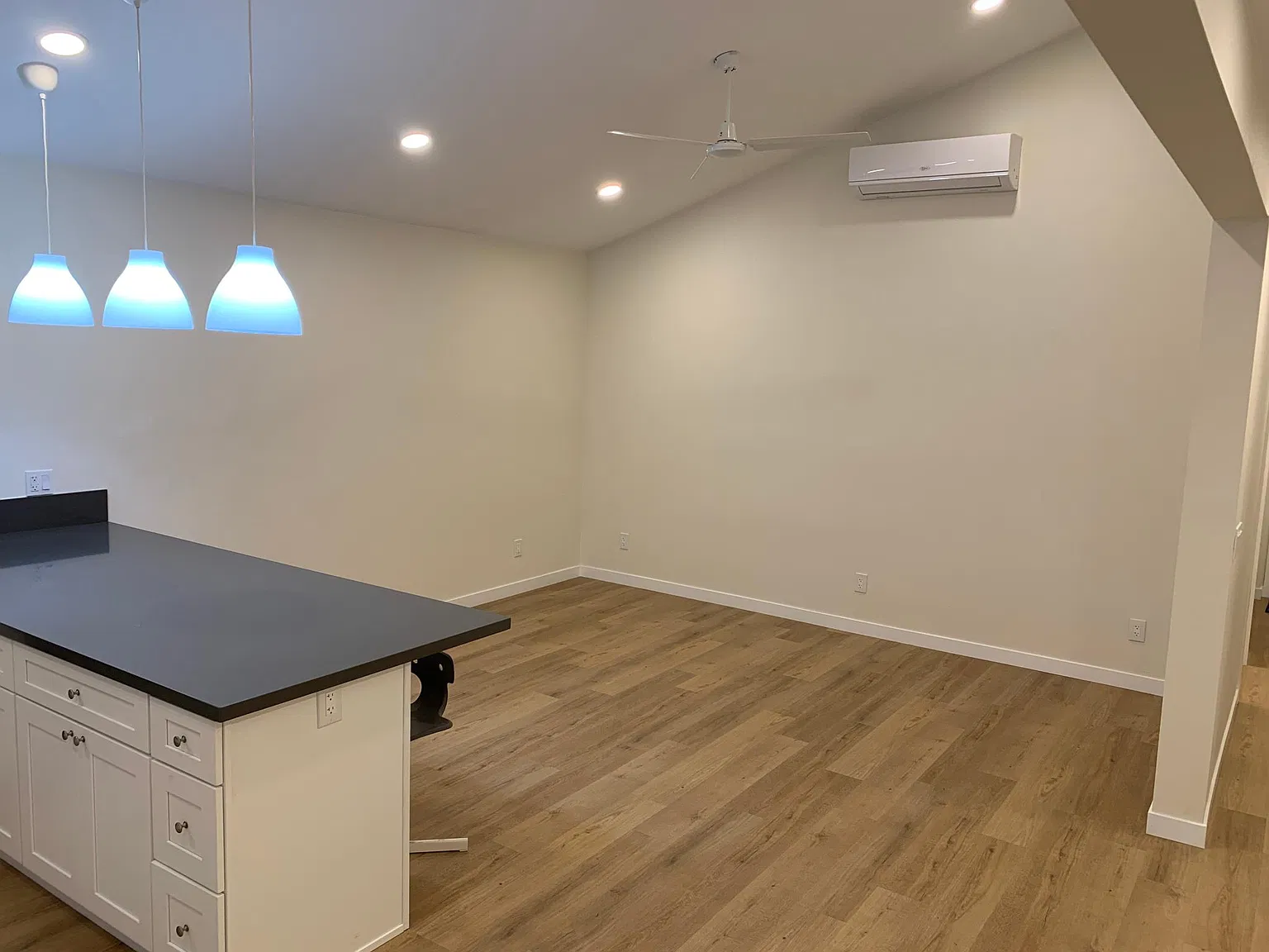 3 bed, 1050 sqft, $3,350 — Photo 4