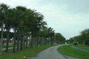 Path