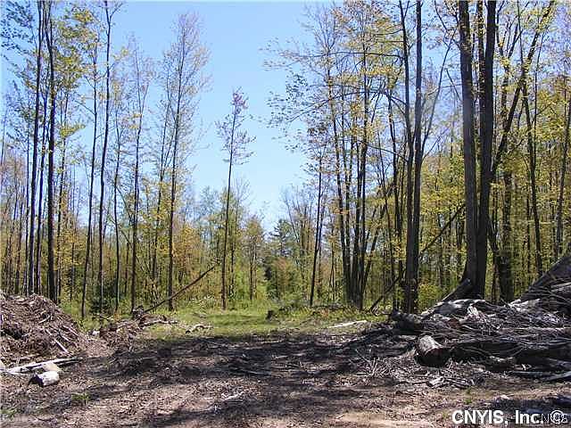 1st image of LOT 26 State Route 49 Lot 26