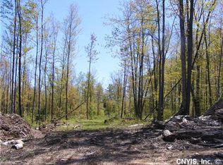 LOT 26 State Route 49 LOT 26, Constantia, NY 13044