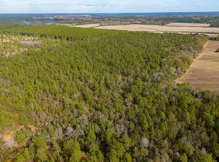 0 N Bob Brooks Rd, Baker, FL 32531