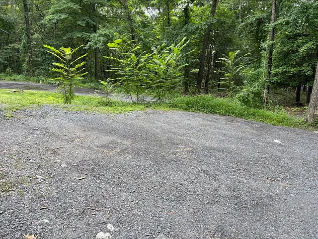 1247 Chateau Dr — Photo 40