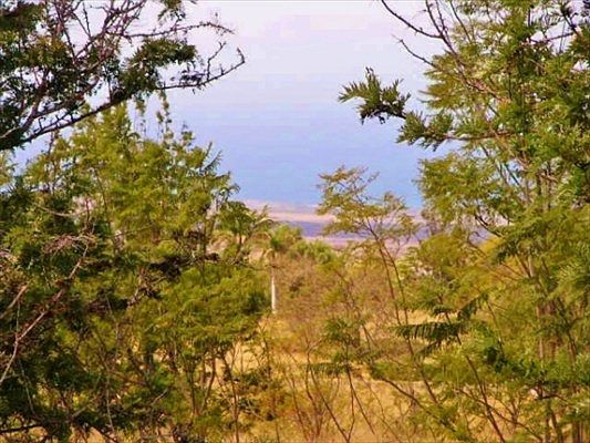4th image of Puu Napoo Dr Lot 32-B