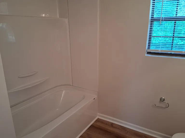 Hall bathroom
