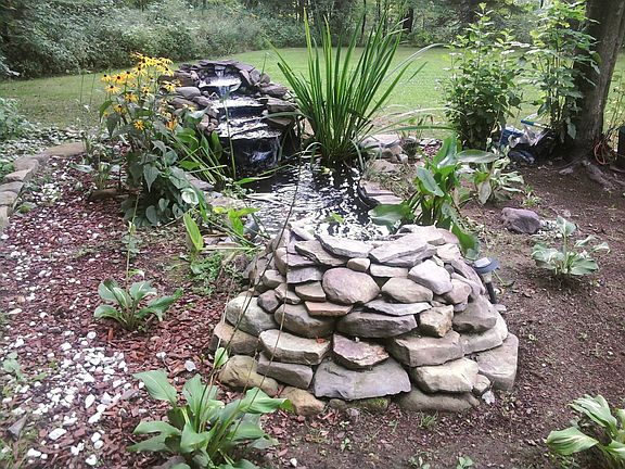 Water Garden 