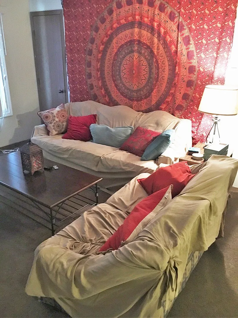 vine — Photo 1