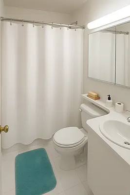 Rented by Manhattan Realty Group | media 3