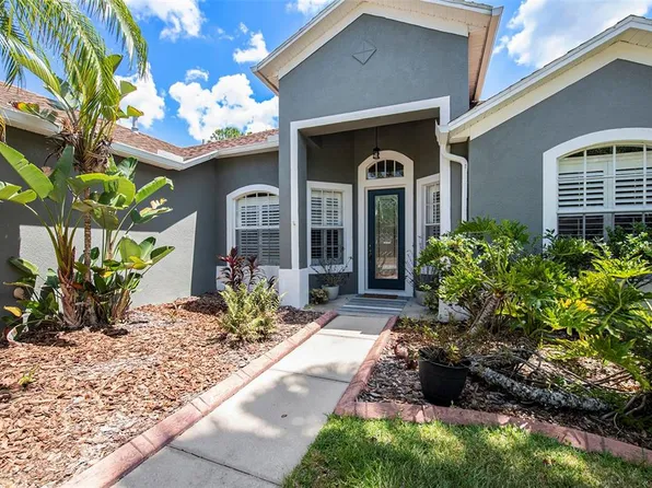 19211 Pelican Ridge Ln, Tampa, FL 33647