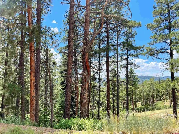 730 Hilltop Drive, Bayfield, CO 81122