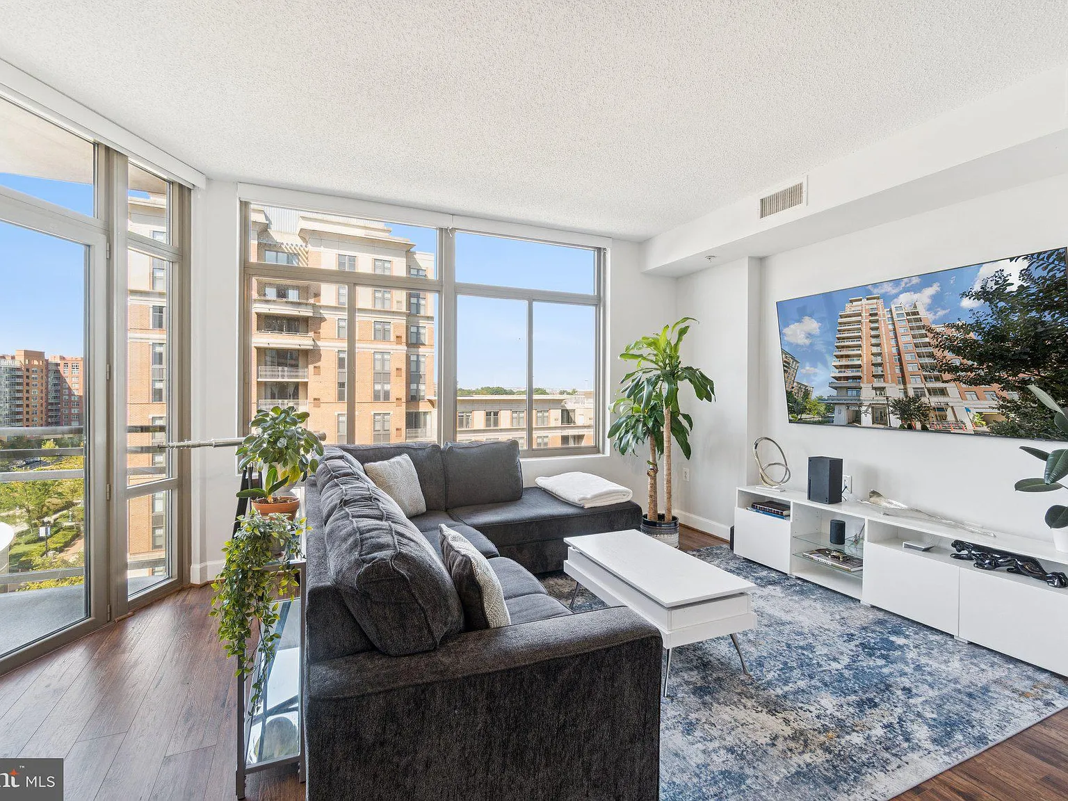 The Eclipse On Center Park — Photo 1